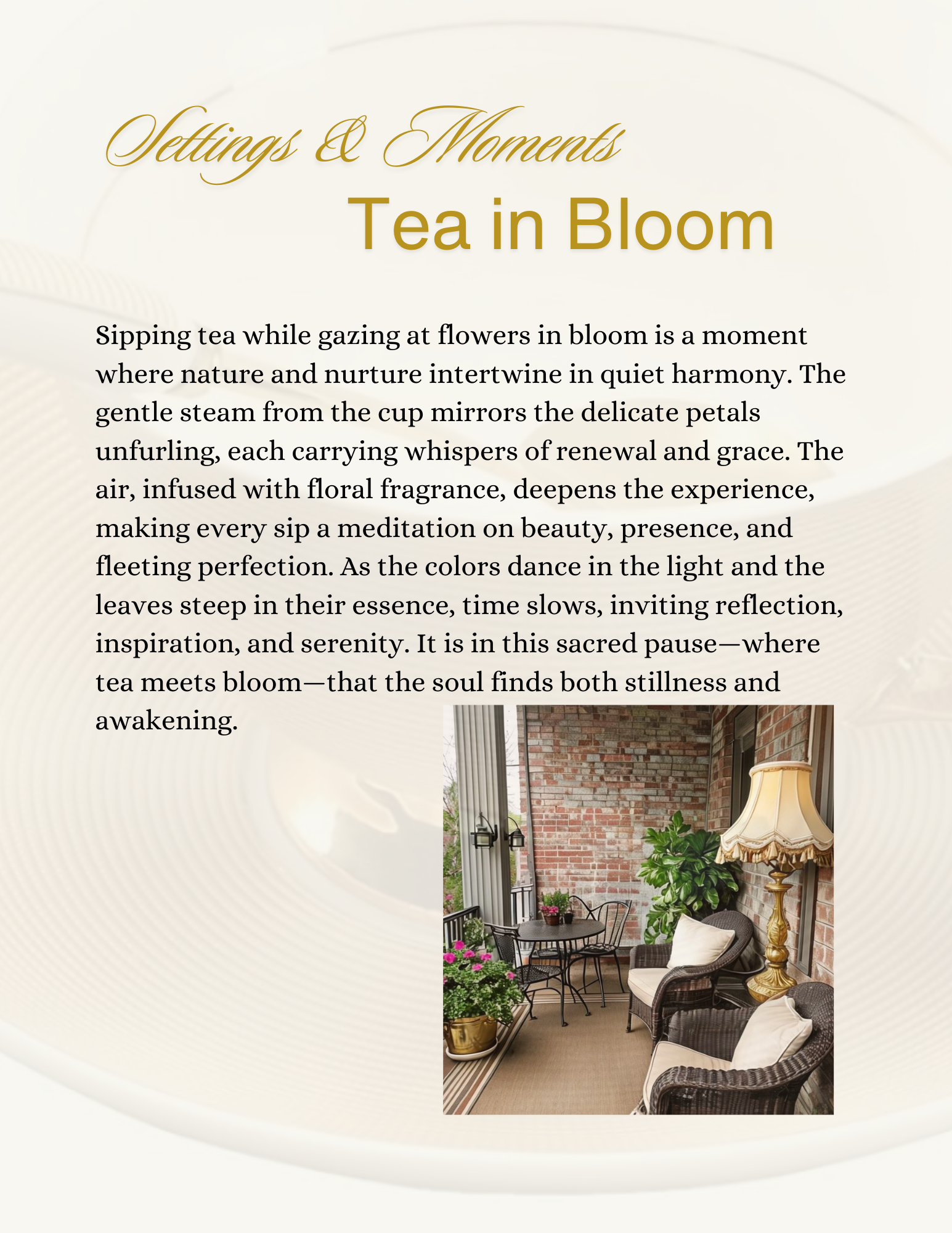 The Tea Experience    Beauty | Ritual | Connection