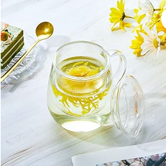 Glass Tea Cup with Infuser and Lid - The Aristocratish Tea Company, Loose Leaf Tea, Aristocratish Tea, Premium Tea, Tea, Hot Brewed Tea, Cold Brewed Tea, Iced Tea, Tea