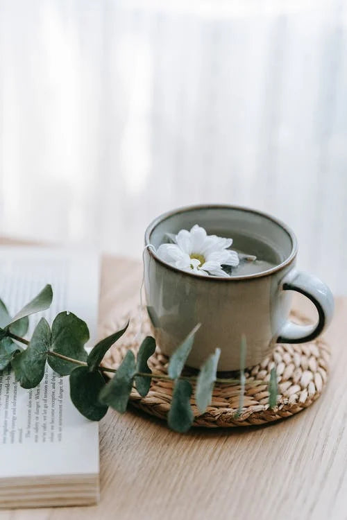 Aristocratish Green Tea - The Aristocratish Tea Company, Loose Leaf Tea, Aristocratish Tea, Premium Tea, Tea, Hot Brewed Tea, Cold Brewed Tea, Iced Tea, Tea